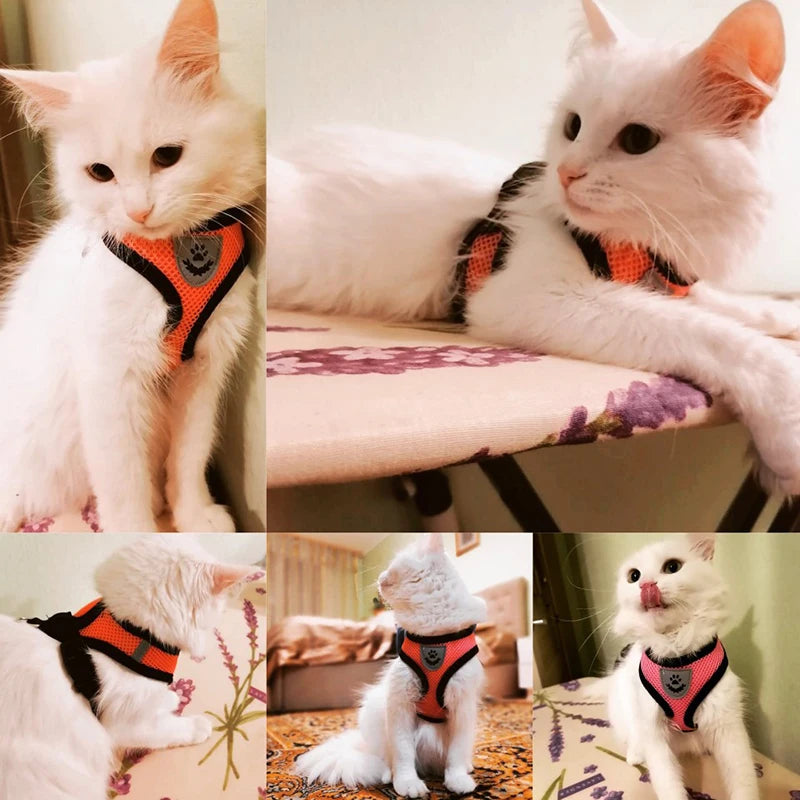 Hund & Katzen Geschirr – Atmungsaktiv, Reflektierend & Verstellbar für ultimativen Komfort!