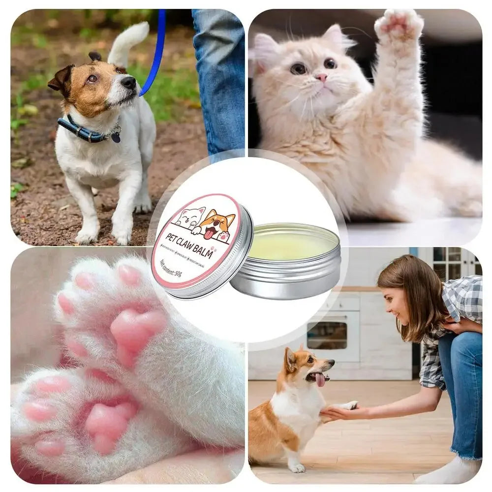 Pfotenbalsam für Katzen & Hunde – Schutz und Pflege für gesunde Pfoten und Nasen!