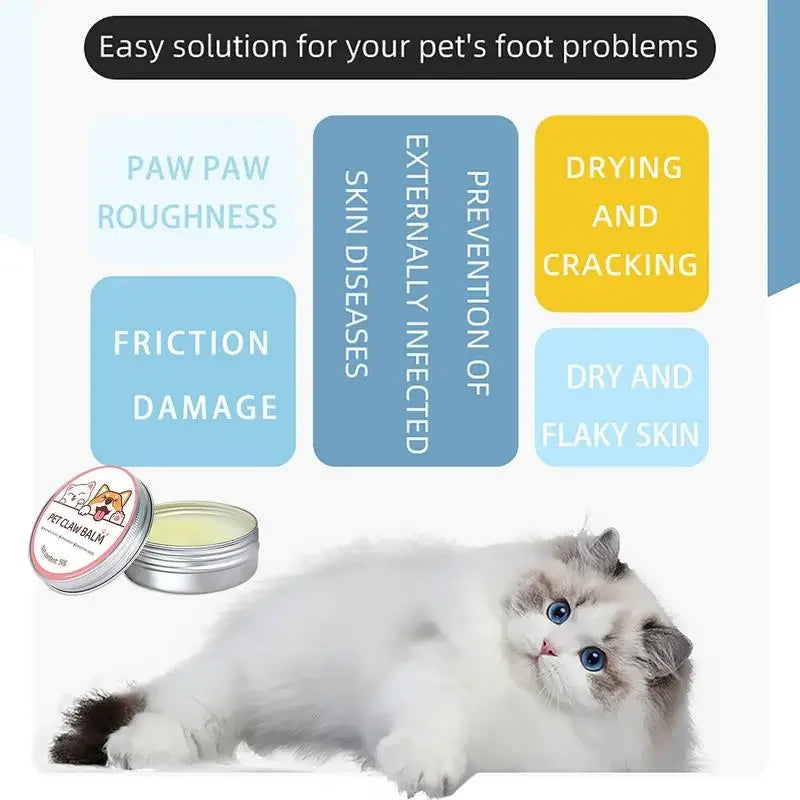 Pfotenbalsam für Katzen & Hunde – Schutz und Pflege für gesunde Pfoten und Nasen!